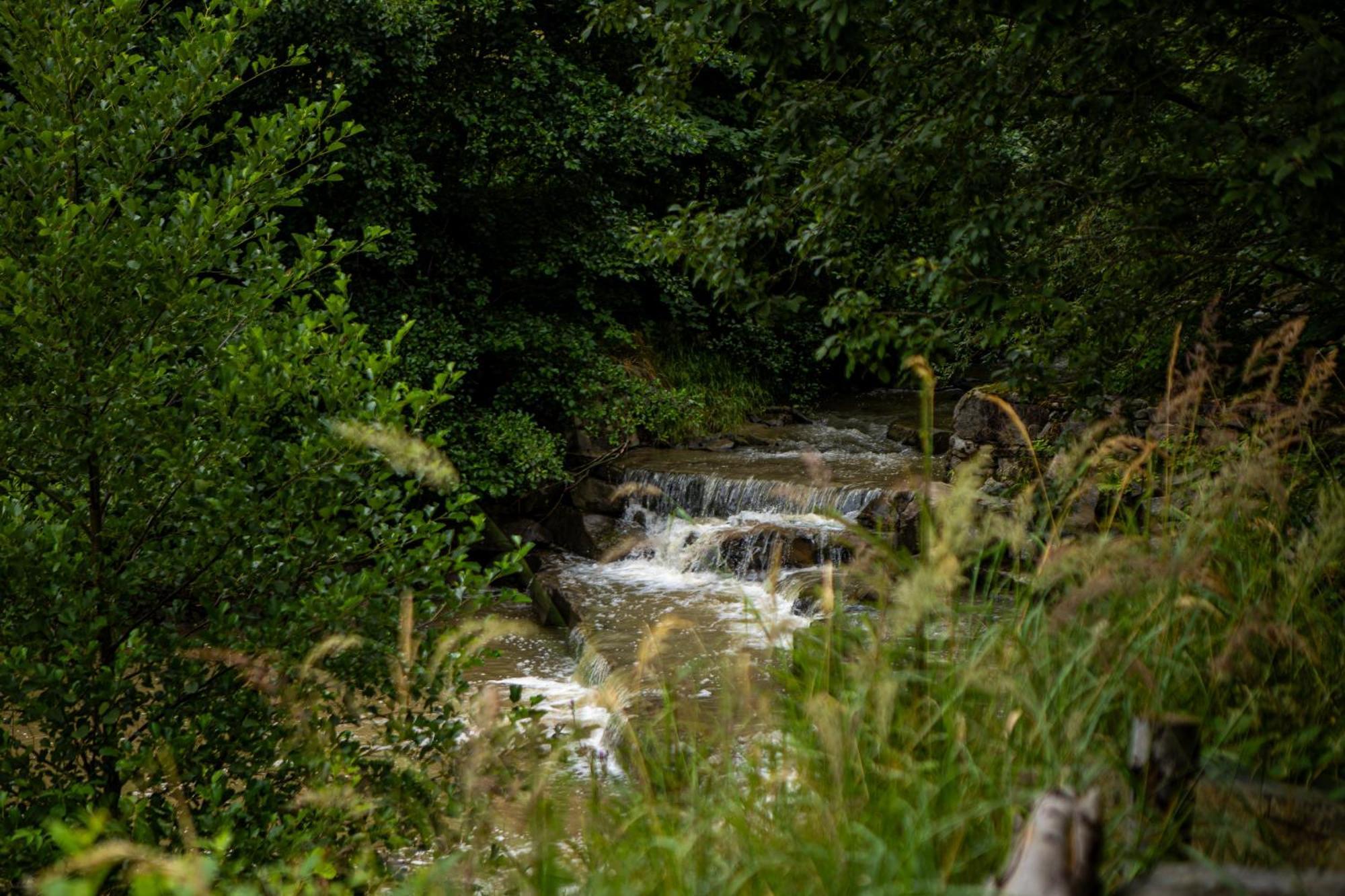 Domek Na Skalce Zabnica Kültér fotó